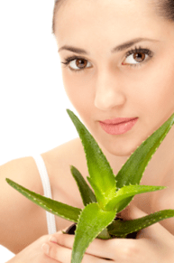 រូបមន្ត aloe ពីស្នាមជ្រីវជ្រួញដំបូង